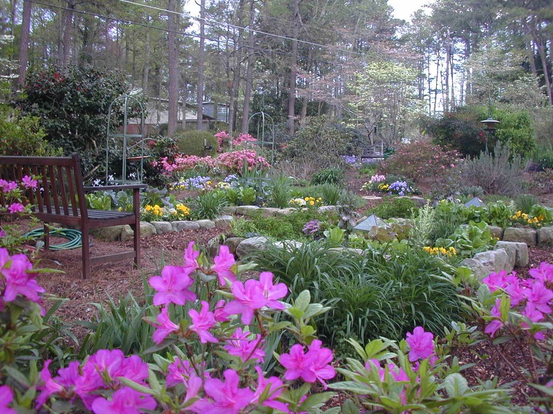 Front yard vegetable garden Atlanta